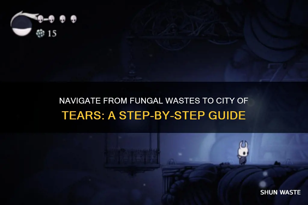 how to enter city of tears from fungal wastes