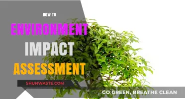 Mastering Environmental Impact Assessments: A Comprehensive Guide for Sustainability