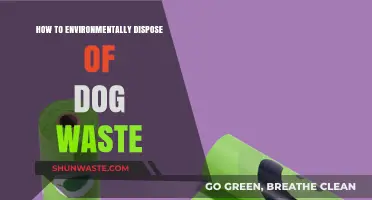 Eco-Friendly Paws: Properly Disposing of Dog Waste