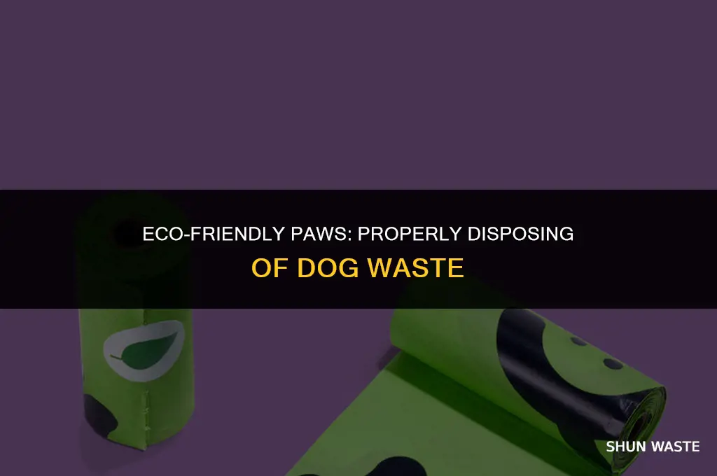 how to environmentally dispose of dog waste
