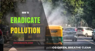 Eradicating Pollution: Strategies for a Sustainable Future