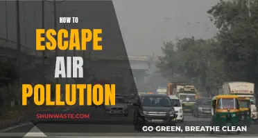 Breathe Easy: Escape Air Pollution's Grasp
