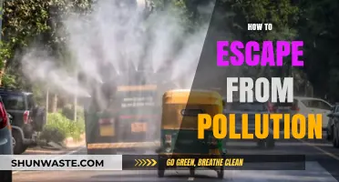 Breathing Easy: Escaping Pollution's Grasp