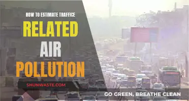 Estimating Traffic Pollution: Methods and Applications