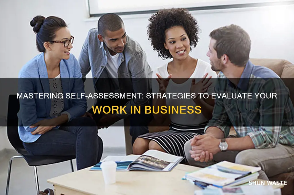 how to evaluate own work in a business environment