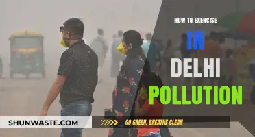 Exercise Safely: Tips for Delhi's Pollution