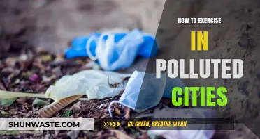 Exercise Safely in Polluted Cities: Tips and Tricks