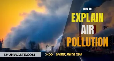Understanding Air Pollution: A Simple Guide