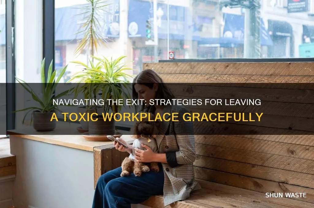 how to explain leaving a toxic work environment