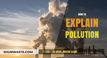 Understanding Pollution: Simple Explanations for a Complex Problem