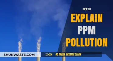 Understanding PPM Pollution: A Simple Explanation