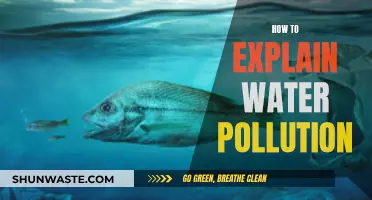 Unraveling Water Pollution: A Comprehensive Guide for Clearer Understanding