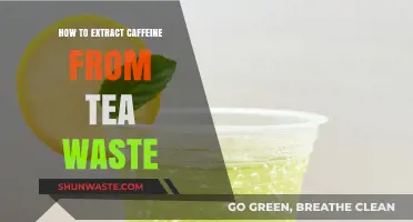 Sustainable Caffeine Extraction: Transforming Tea Waste into Valuable Energy