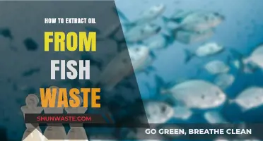 Sustainable Fish Waste Oil Extraction: A Step-by-Step Guide