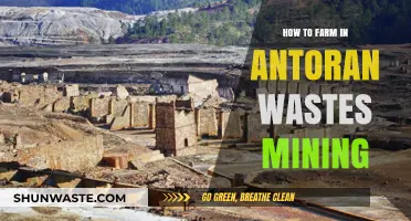 Mastering Antoran Wastes Mining: Essential Farming Tips for Success