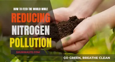 Feeding the World Sustainably: Reducing Nitrogen Pollution