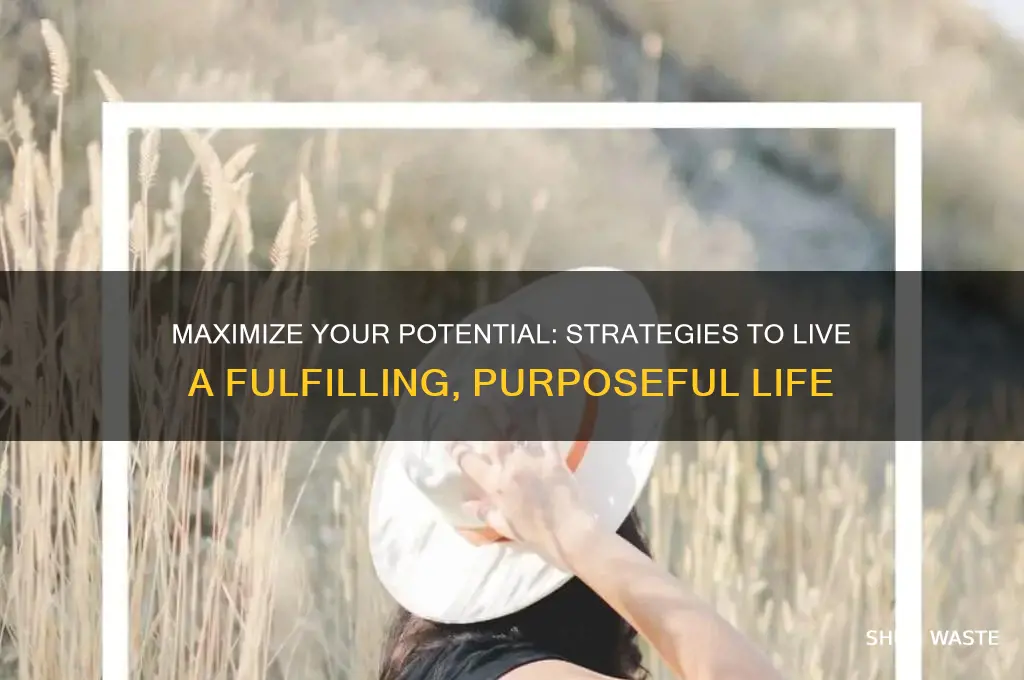 how to feel like you re not wasting your life