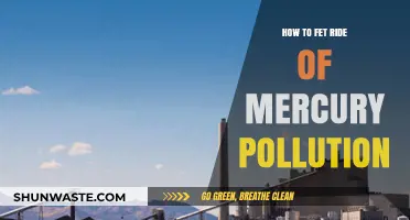 Eradicating Mercury Pollution: Strategies for a Cleaner Future