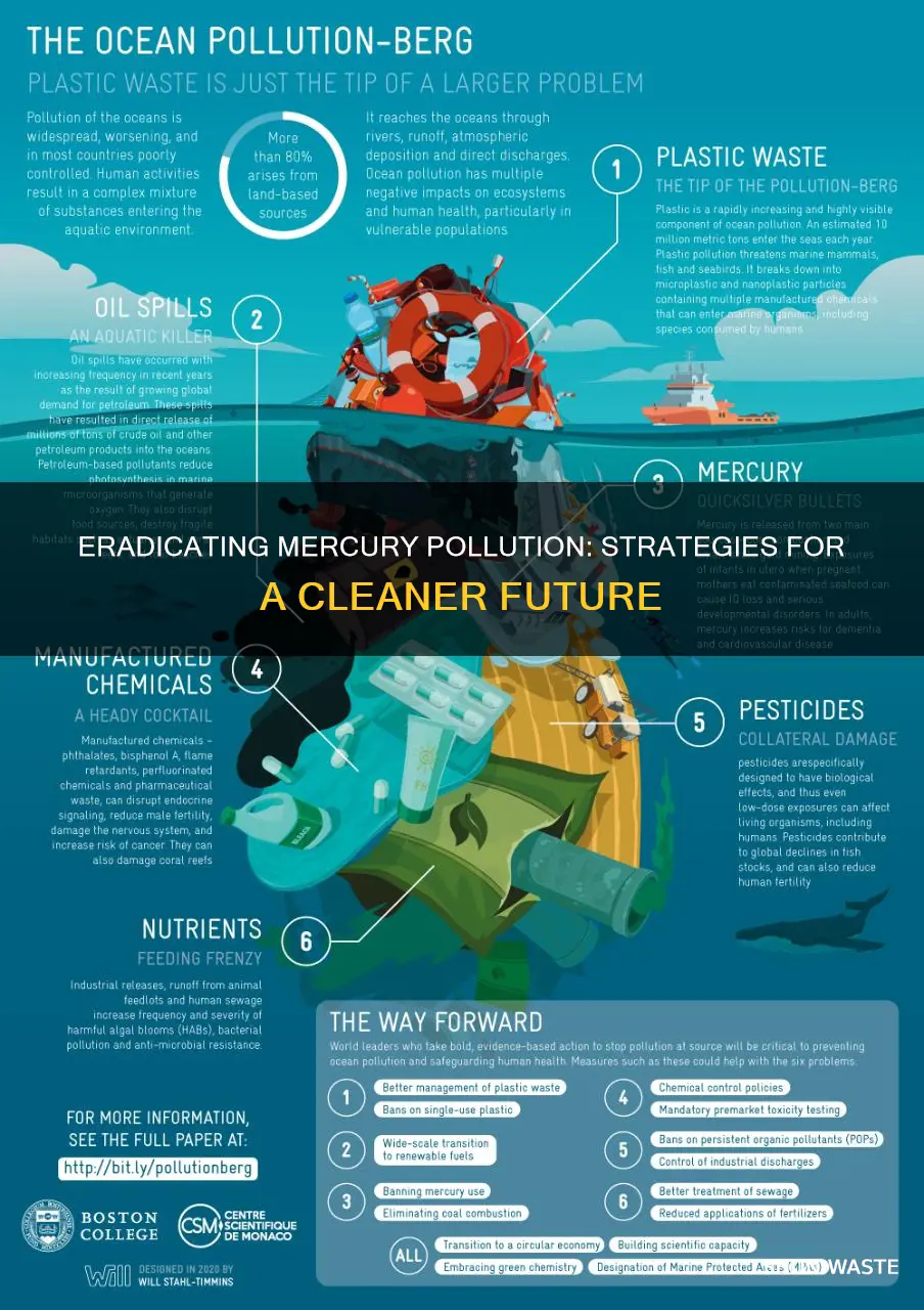 how to fet ride of mercury pollution
