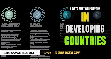 Battling Air Pollution: Strategies for Developing Countries