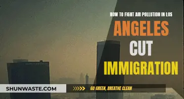 Fighting LA Smog: Immigration Control Needed