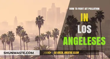 Fighting Air Pollution: LA's Strategies for Cleaner Air