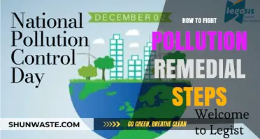 Fight Pollution: Simple Remedial Steps for a Better Tomorrow