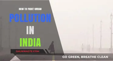 Battling India's Urban Pollution: Strategies for Clean Air