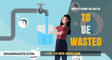 Calculating Daily SS Waste: A Step-by-Step Guide to Optimize Usage