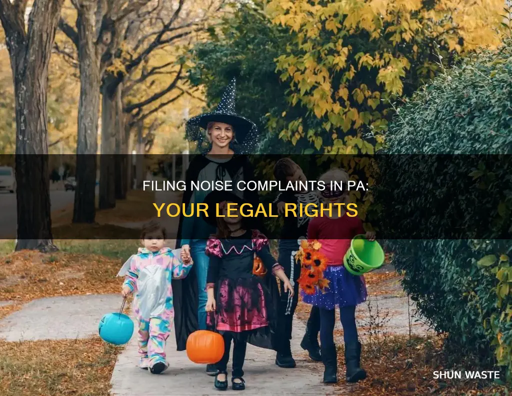 how to file a complaint about noise pollution in pa