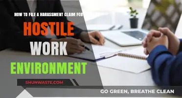 Navigating Workplace Harassment: Steps to File a Hostile Environment Claim