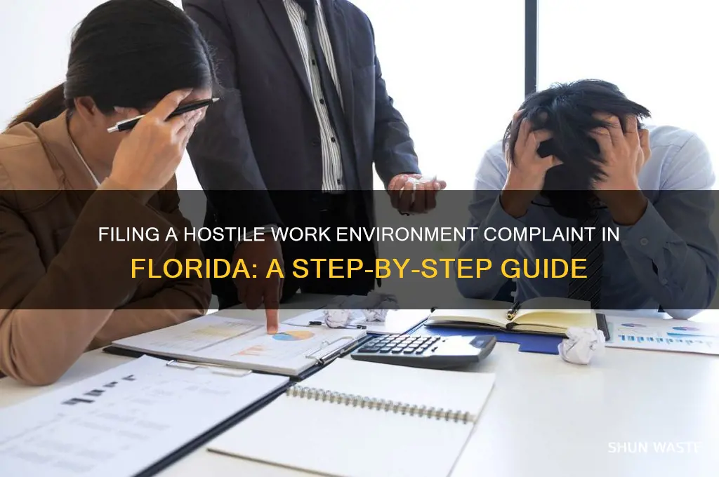 how to file a hostile work environment complaint in florida