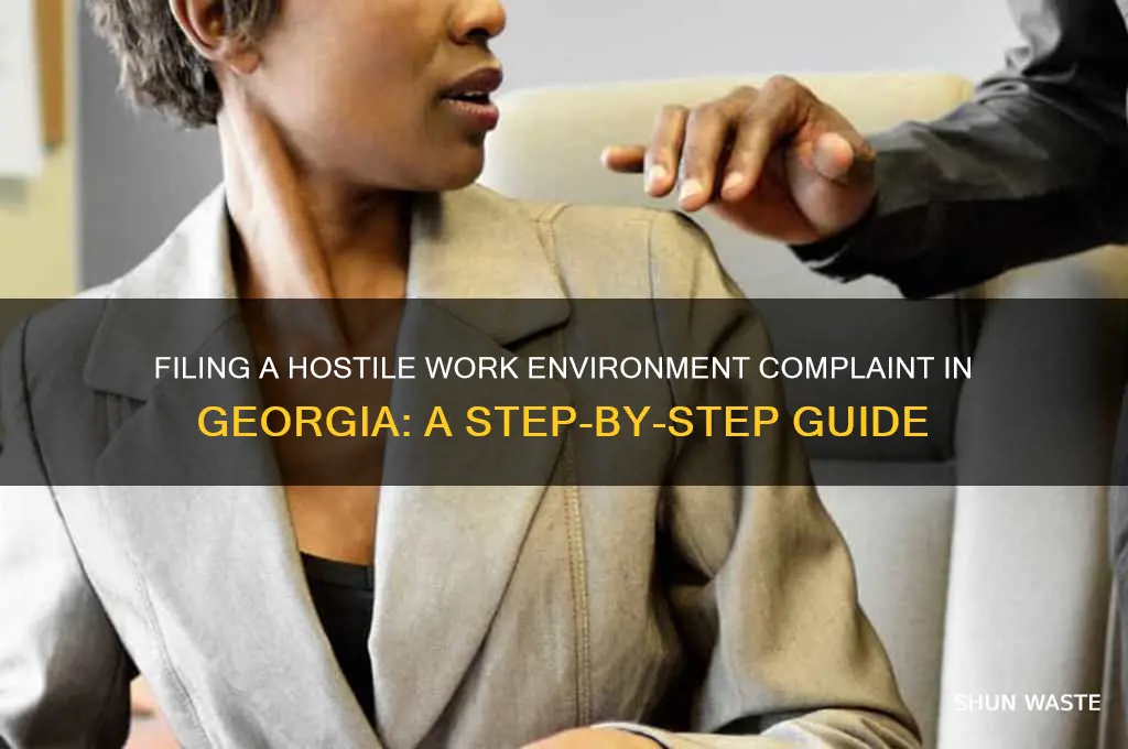 how to file a hostile work environment complaint in georgia