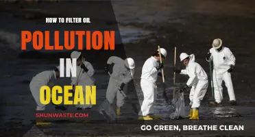 Innovative Ways to Filter Ocean Oil Pollution