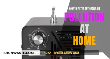 Breathe Easy: Filtering Ozone at Home
