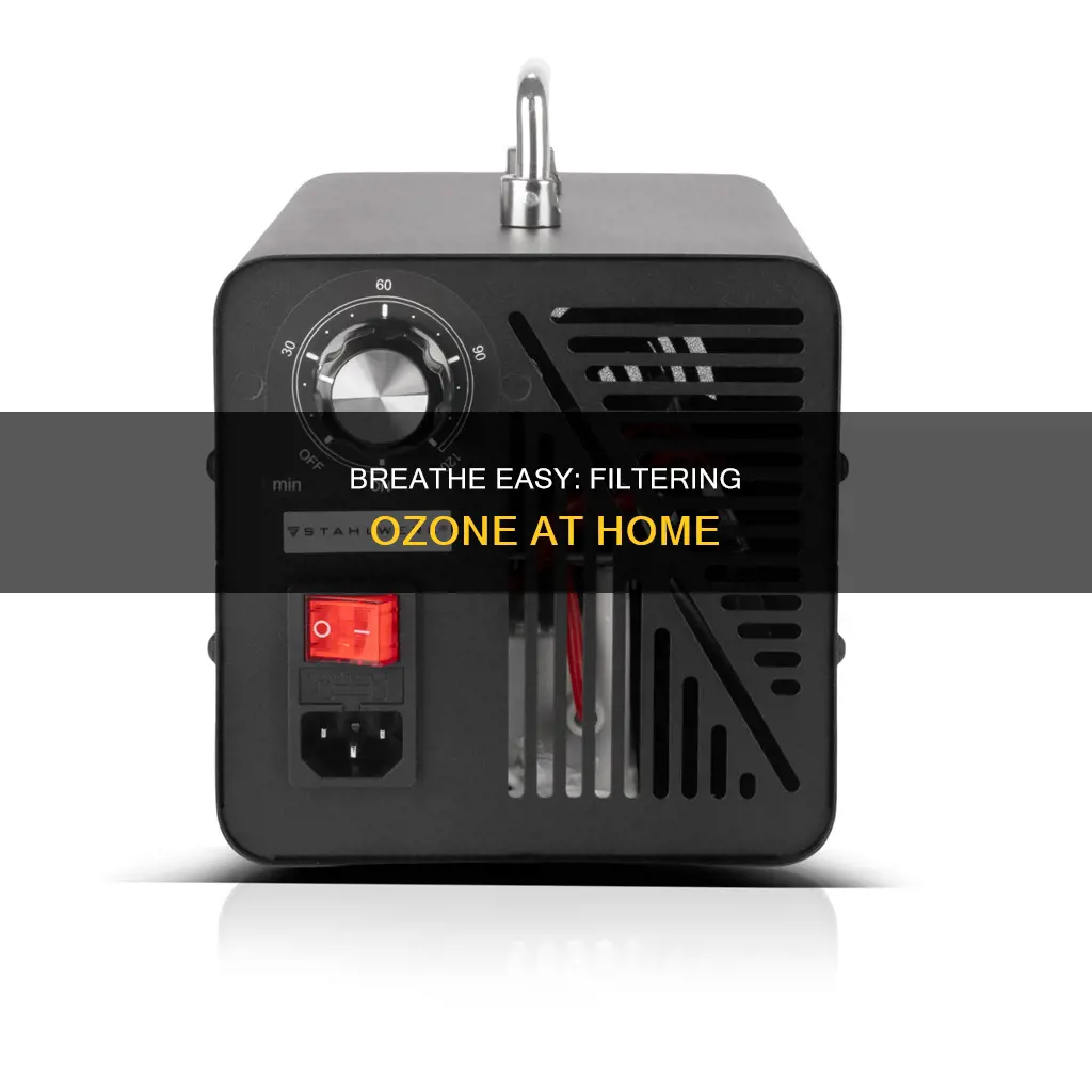 how to filter out ozone air pollution at home