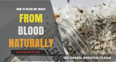 Natural Blood Cleansing: Effective Ways to Filter Waste Naturally