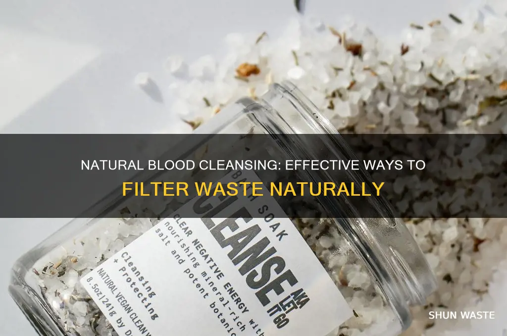 how to filter out waste from blood naturally