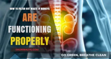 Optimal Kidney Function: Effective Waste Filtration Strategies for Healthy Living