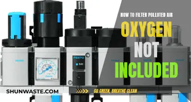 Filtering Polluted Air in Oxygen: A Survival Guide