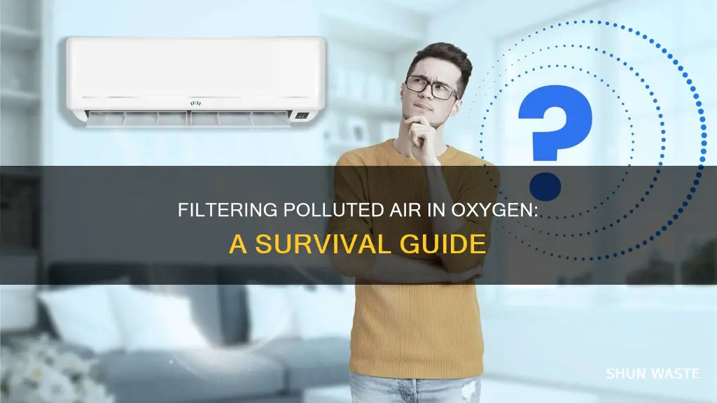 how to filter polluted air oxygen not included