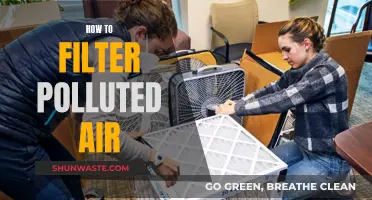 Breathe Easy: Filtering Polluted Air at Home