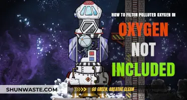Filtering Polluted Oxygen in Oxygen Not Included: A Guide