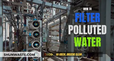 Pure Water, Clear Mind: Effective Methods to Filter Polluted Water