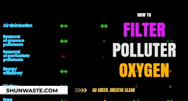 Filtering Polluted Air: Breathe Easy with Oxygen