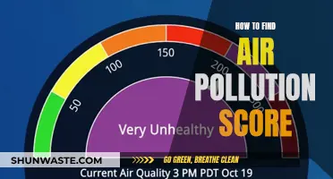 Air Quality Awareness: Finding Your Air Pollution Score