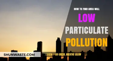 Finding Clean Air: Areas with Low Particulate Pollution
