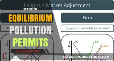 Finding Equilibrium: Pollution Permits and Their Limits