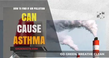 Unveiling the Link: Air Pollution and Asthma