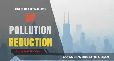 Finding the Balance: Pollution Reduction Strategies